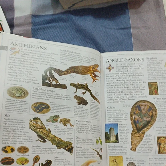 Family Encyclopaedia - Picture 11 of 15